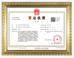 stiga-cert-3